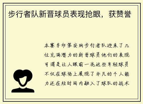 步行者队新晋球员表现抢眼，获赞誉