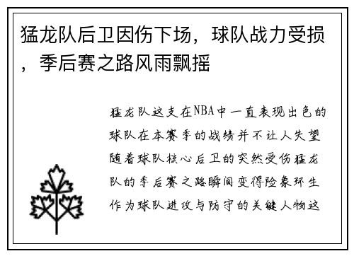 猛龙队后卫因伤下场，球队战力受损，季后赛之路风雨飘摇